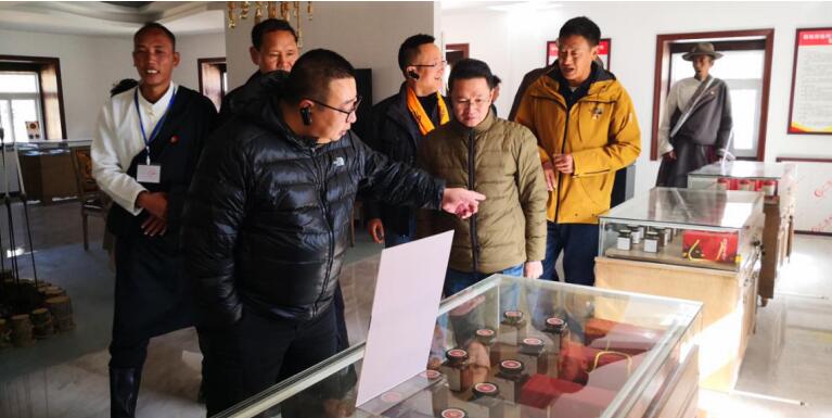 ϵľ8814vip鸰ͬ嶽Կڰ