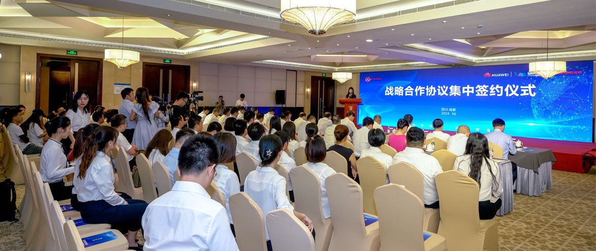 Ĵϵľ8814vipЯֻΪ˾Ĵ缯ǩԼ