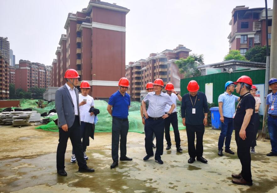 ϵľ8814vipıר չϵĿ