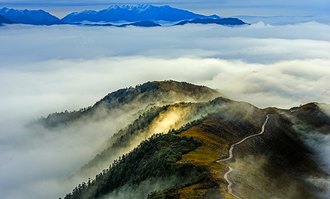 ϵľ8814vip(й)ɷ޹˾-ٷվ