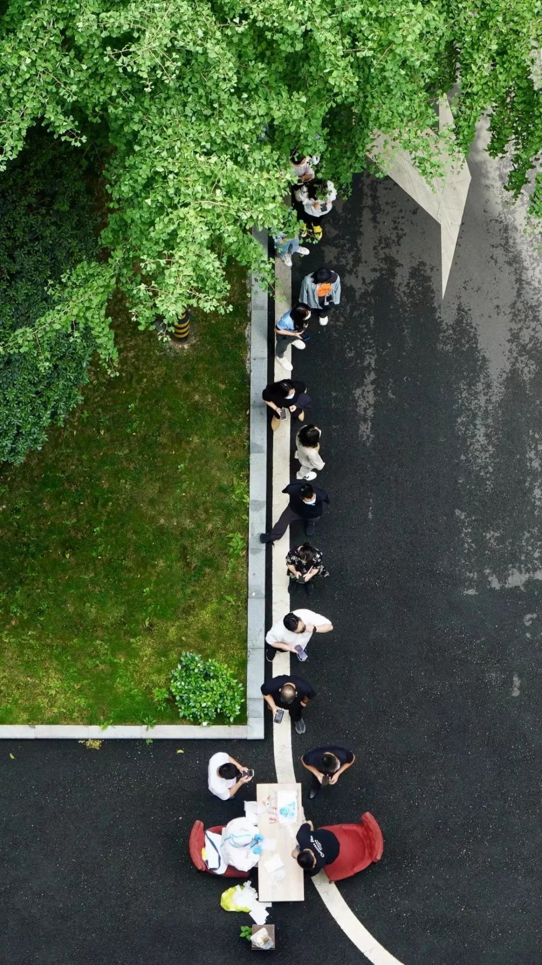 벢徲 ϵľ8814vipȫչ¹