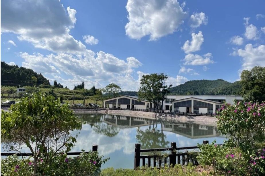 cc8f6eaf-1bc2-4410-b5a5-aaef49fc8d5f cc8f6eaf-1bc2-4410-b5a5-aaef49fc8d5f