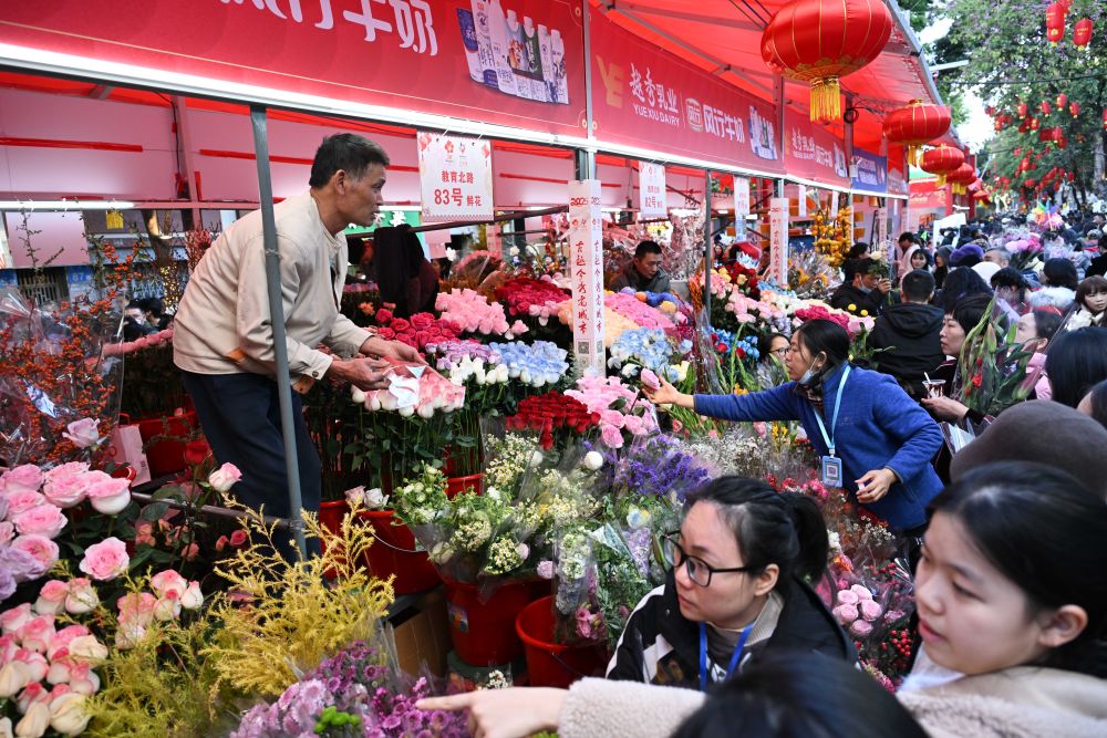 ϵľ8814vip(й)ɷ޹˾-ٷվ