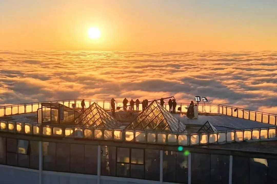 ϵľ8814vip(й)ɷ޹˾-ٷվ