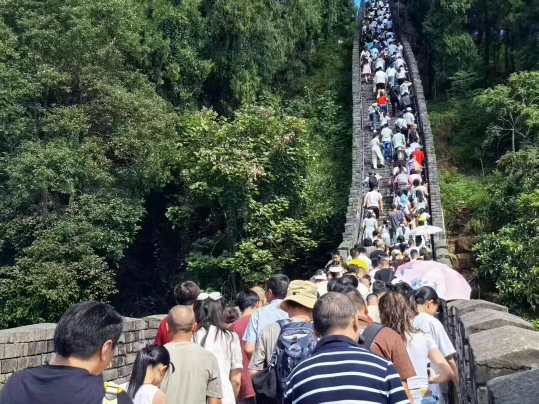 93e1fd73-25ba-403e-a602-2f8ca549a6c6 93e1fd73-25ba-403e-a602-2f8ca549a6c6