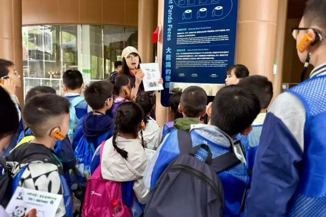 4ddb67fa-7c46-4d60-8ff9-e0835f19fb91 4ddb67fa-7c46-4d60-8ff9-e0835f19fb91